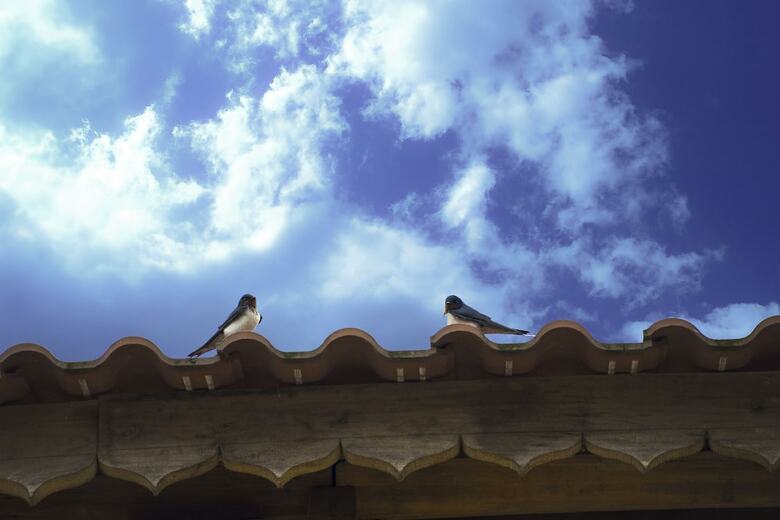 Hostal Toong Homestay