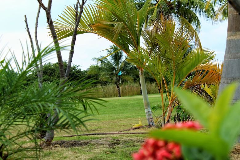 Casa Morsi Gran Pacifica Resort