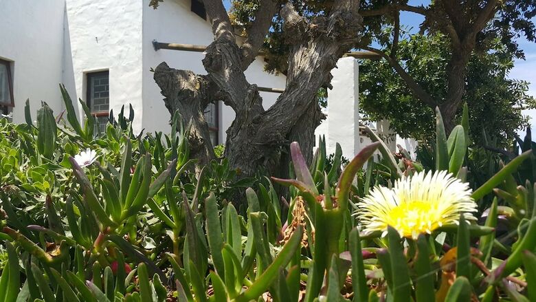 Hotel Artist's Retreat B & B/ Self Catering