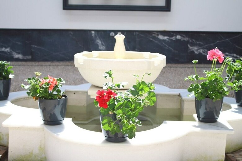 Apartamentos Esencia de C�rdoba
