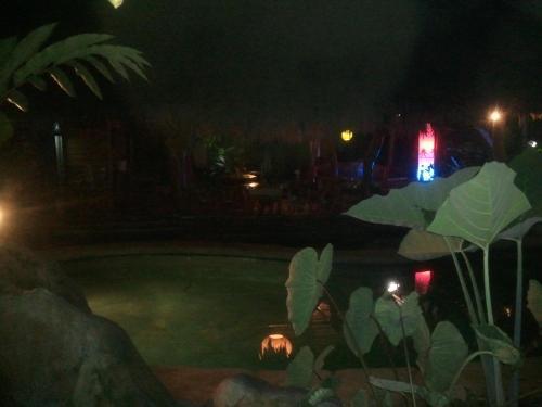 Hotel Blue Conga