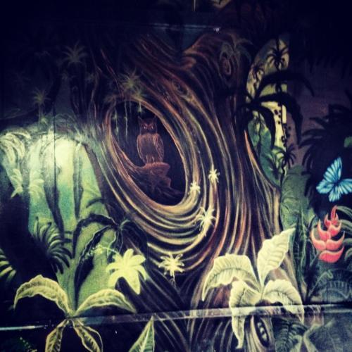 Casa Manglar