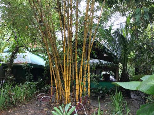 Casa Manglar