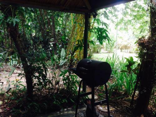 Casa Manglar