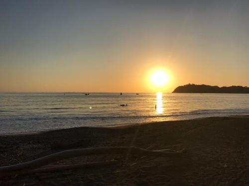 Hostal Fenix Hotel - On The Beach