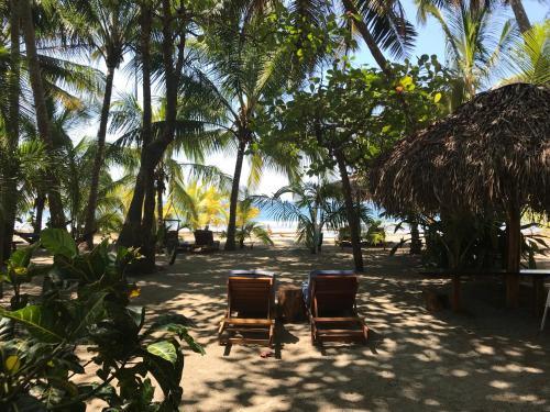 Hostal Fenix Hotel - On The Beach