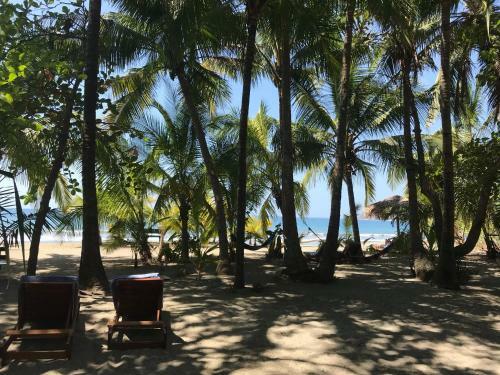 Hostal Fenix Hotel - On The Beach