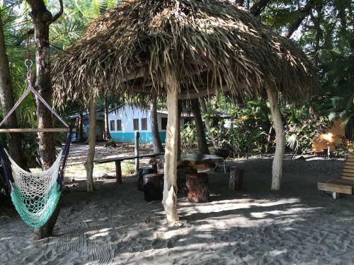 Hostal Fenix Hotel - On The Beach