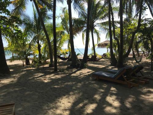 Hostal Fenix Hotel - On The Beach