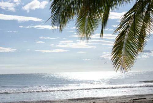 Hostal Fenix Hotel - On The Beach