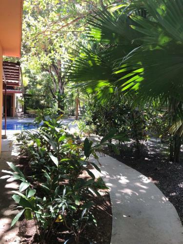 Hostal Fenix Hotel - On The Beach
