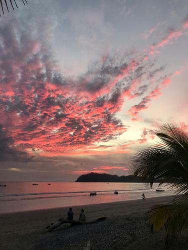 Hostal Fenix Hotel - On The Beach