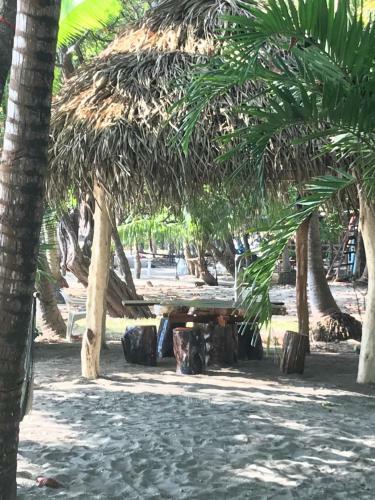 Hostal Fenix Hotel - On The Beach