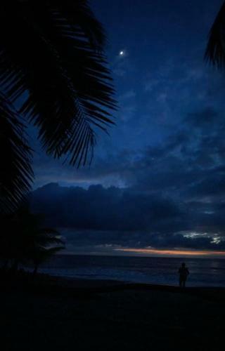 Hostal Fenix Hotel - On The Beach