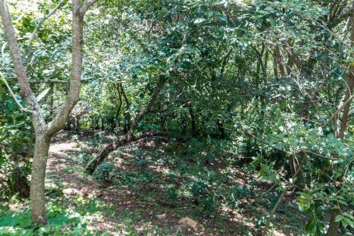 B&B Vista Atenas - Adults Only