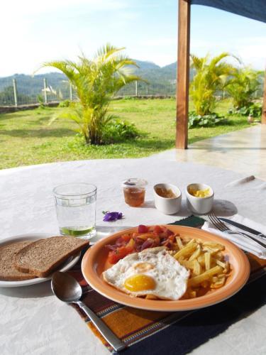 Casa Amanecer Bed And Breakfast