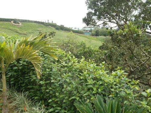 Bed & Breakfast Vista Valverde