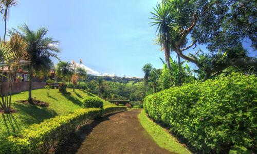 Hotel Mango Valley
