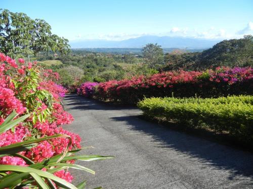 Bed & Breakfast Finca Vibran B & B