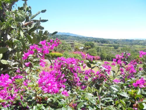 Bed & Breakfast Finca Vibran B & B