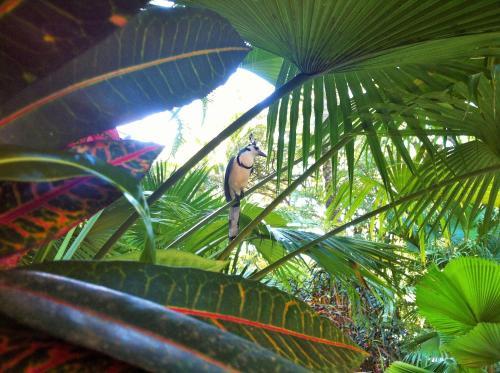 Hotel El Manglar