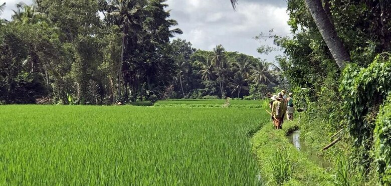 Hotel Kubu Jamu Ubud