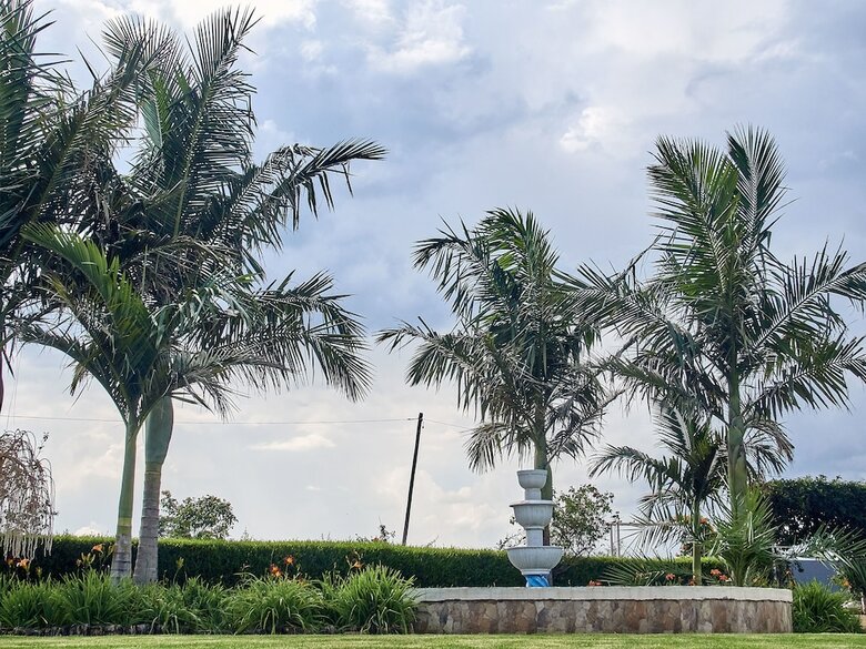 Hotel Bradley Gardens Lodge