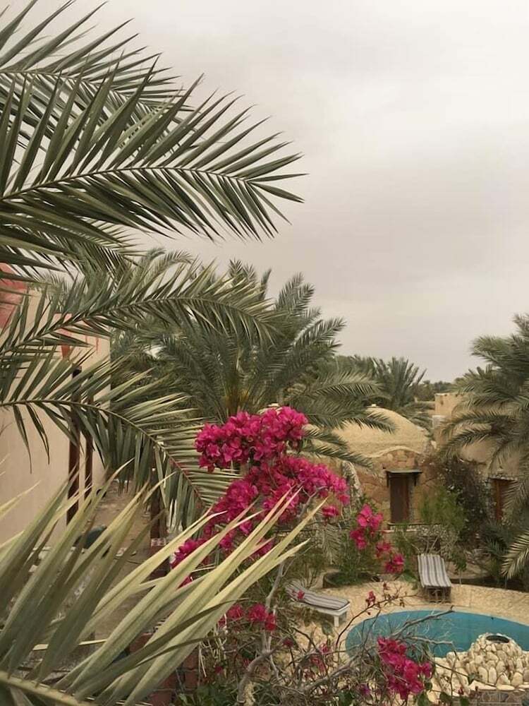 Dream Lodge Hotel -siwa