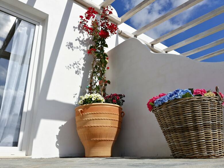 Hotel Kipos Villas And Suites