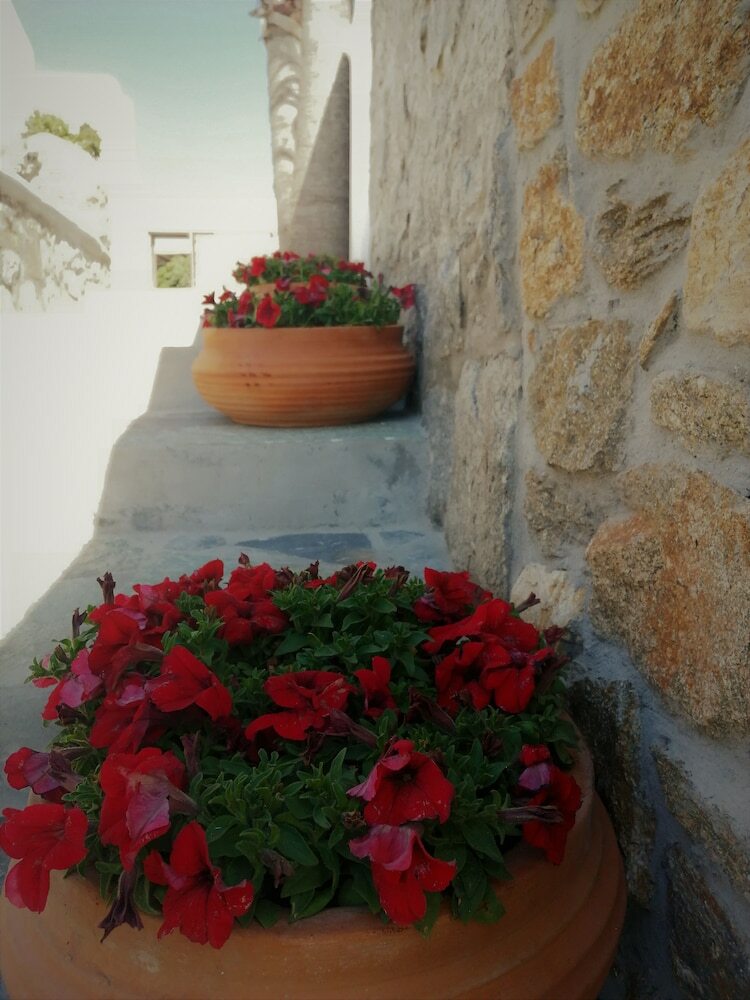 Hotel Kipos Villas And Suites