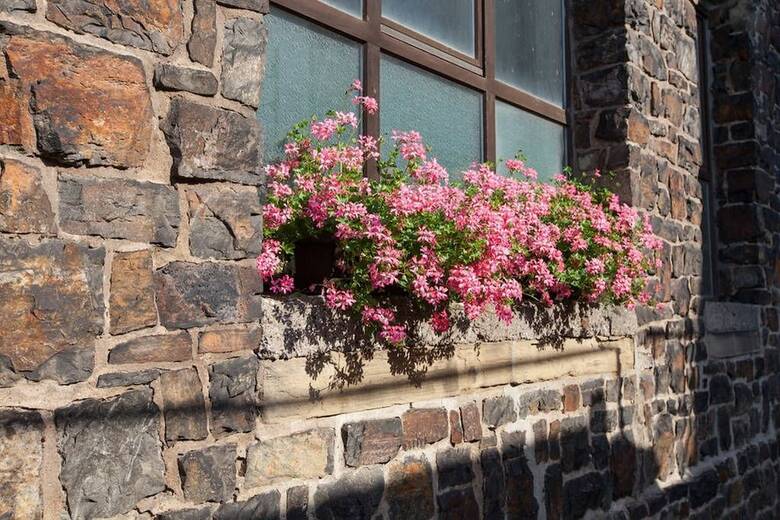 Pension B & B Altes Rathaus