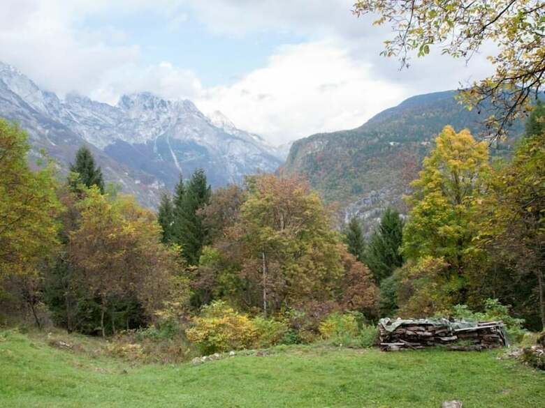 Miha Lodge