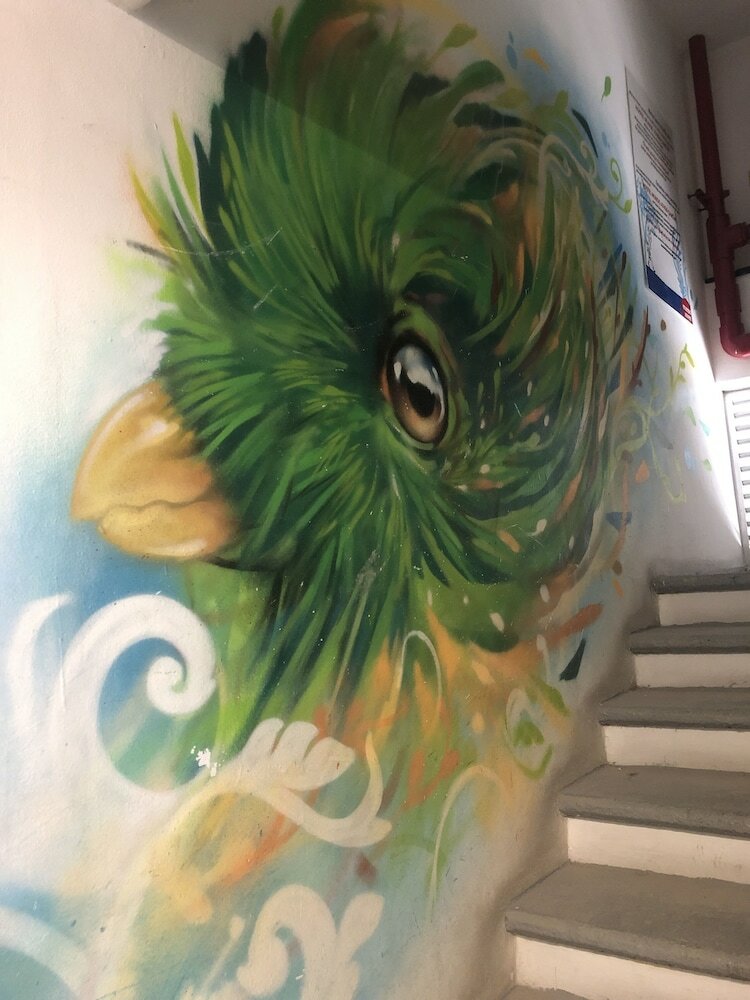 Hostal Tucan Hostel