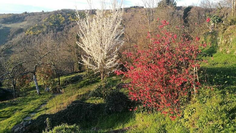 Ribeira Sacra Cabo Do Mundo