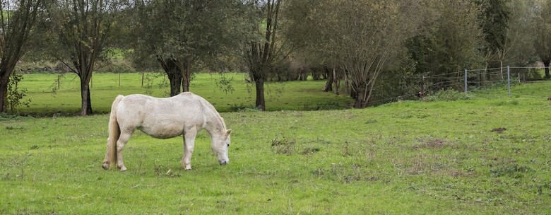 Ferme Chateau Laneffe