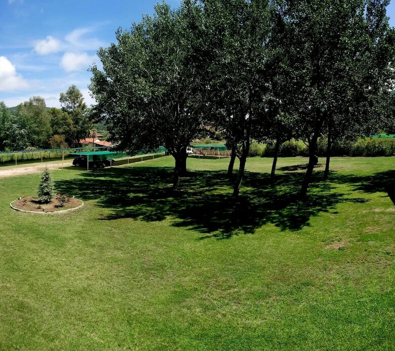 Aparthotel Chrissi Ammoudia