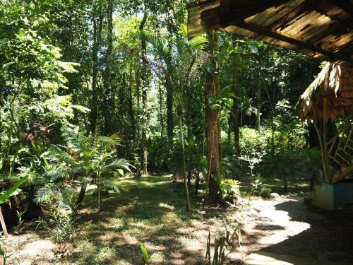 Se Ua B&B And House Of Adventure