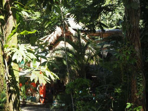 Se Ua B&B And House Of Adventure