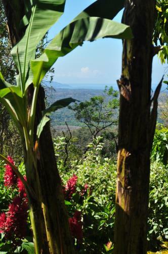 Bed & Breakfast Tiriguro Lodge