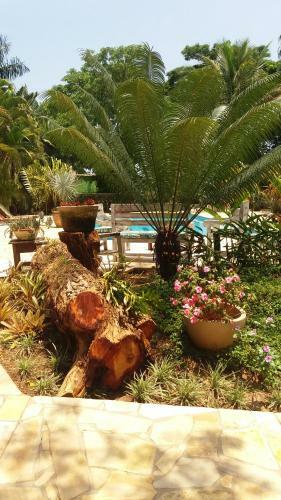 Hostal Pousada Da Lua S�o Pedro