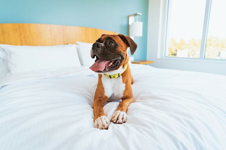Hotel Staybridge Suites Coeur D'alene