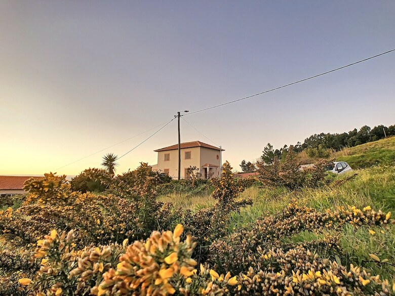 Ovelha Do Sol By Mhm