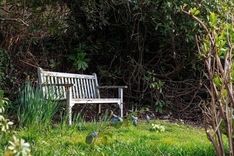 River View Cottage With Garden
