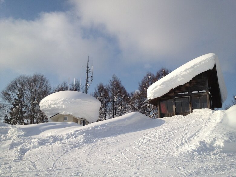 Bed & Breakfast Nozawa Dream Central