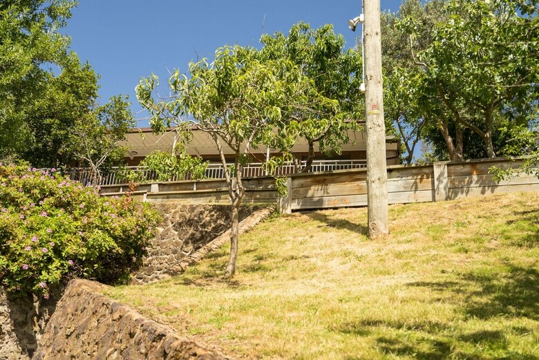 Loquat Hill
