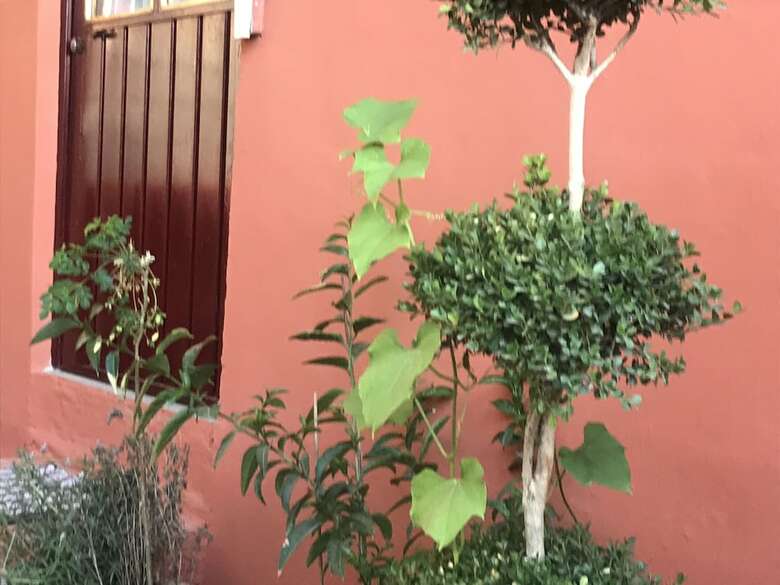Hotel La Pineda Teotihuacan