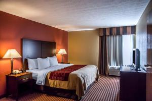 Hotel Comfort Inn & Suites