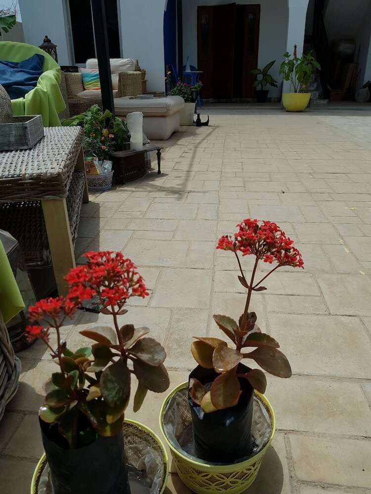 Camara Gardens Apartments With Pool