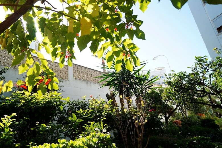 Apartamentos La Dorada