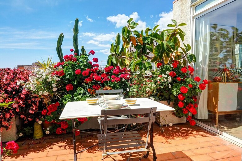Secret Garden Apartment